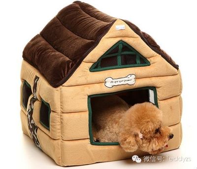 狗狗便便偏稀怎么辦？居家觀察與獸醫(yī)輔助指南