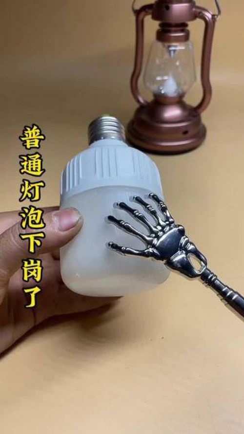 給愛寵與生活加點(diǎn)料 這些實(shí)用好物，獸醫(yī)也在用！