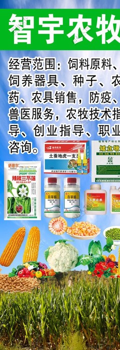 專業(yè)獸醫(yī)工具圖鑒 編號(hào)26937282素材的深度解讀與應(yīng)用